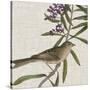 Avian Crop IX-John James Audubon-Stretched Canvas