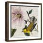 Avian Crop V-John James Audubon-Framed Art Print