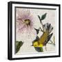 Avian Crop V-John James Audubon-Framed Art Print