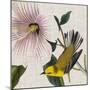 Avian Crop V-John James Audubon-Mounted Art Print