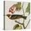 Avian Crop VI-John James Audubon-Stretched Canvas