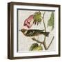 Avian Crop VI-John James Audubon-Framed Art Print