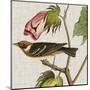 Avian Crop VI-John James Audubon-Mounted Art Print