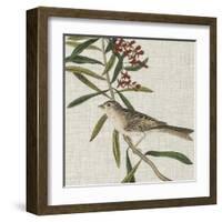 Avian Crop VII-John James Audubon-Framed Art Print