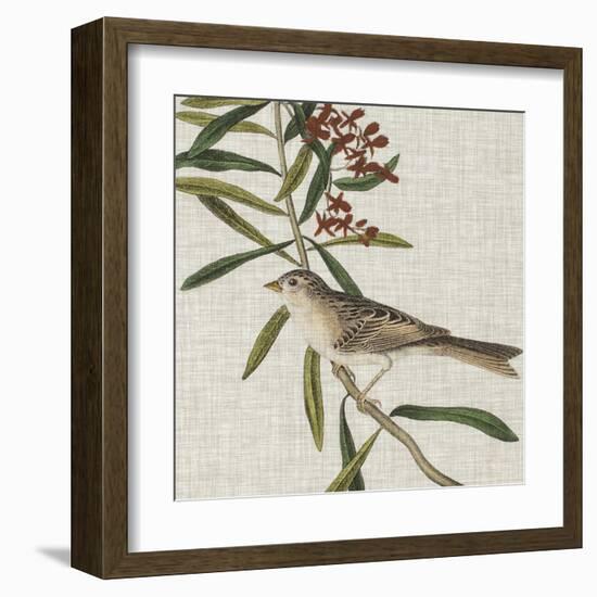 Avian Crop VII-John James Audubon-Framed Art Print