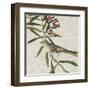 Avian Crop VII-John James Audubon-Framed Art Print