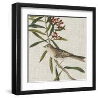 Avian Crop VII-John James Audubon-Framed Art Print