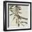 Avian Crop VII-John James Audubon-Framed Art Print