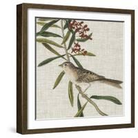 Avian Crop VII-John James Audubon-Framed Art Print