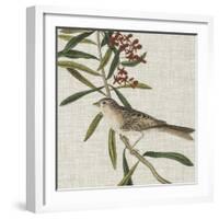 Avian Crop VII-John James Audubon-Framed Art Print