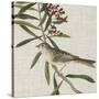 Avian Crop VII-John James Audubon-Stretched Canvas