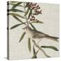 Avian Crop VII-John James Audubon-Stretched Canvas