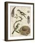 Avian Journal I-Vision Studio-Framed Art Print