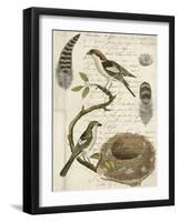 Avian Journal I-Vision Studio-Framed Art Print
