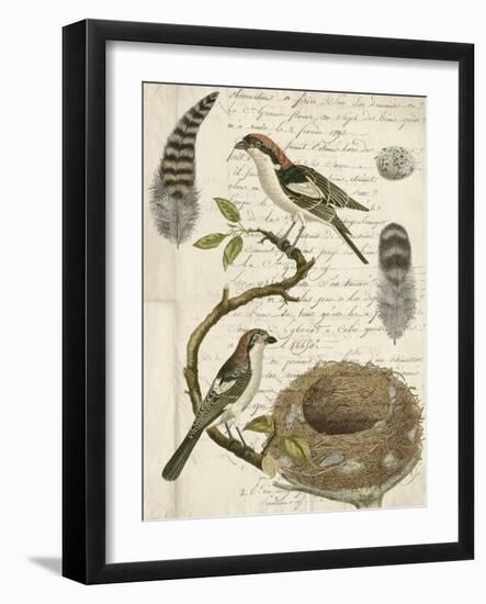 Avian Journal I-Vision Studio-Framed Art Print