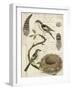 Avian Journal I-Vision Studio-Framed Art Print