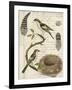 Avian Journal I-Vision Studio-Framed Art Print