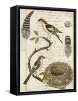 Avian Journal I-Vision Studio-Framed Stretched Canvas