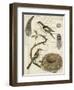 Avian Journal I-Vision Studio-Framed Art Print