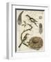 Avian Journal I-Vision Studio-Framed Art Print