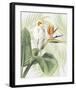 Avian Paradise II-Grace Popp-Framed Art Print