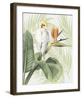 Avian Paradise II-Grace Popp-Framed Art Print