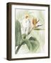 Avian Paradise II-Grace Popp-Framed Art Print