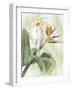 Avian Paradise II-Grace Popp-Framed Art Print