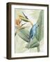 Avian Paradise III-Grace Popp-Framed Art Print