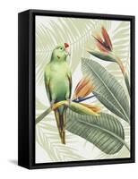 Avian Paradise IV-Grace Popp-Framed Stretched Canvas