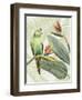Avian Paradise IV-Grace Popp-Framed Art Print