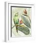 Avian Paradise IV-Grace Popp-Framed Art Print