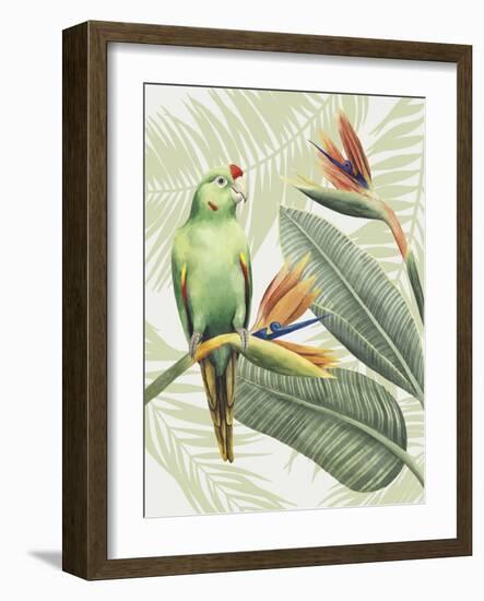 Avian Paradise IV-Grace Popp-Framed Art Print