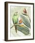 Avian Paradise IV-Grace Popp-Framed Art Print