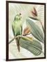Avian Paradise IV-Grace Popp-Framed Art Print