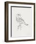 Avian Study  I-Ethan Harper-Framed Art Print
