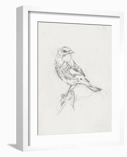Avian Study  I-Ethan Harper-Framed Art Print