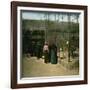 Aviaries at the Jardin D'Acclimatation, Paris (XVIth Arrondissement), Circa 1890-1895-Leon, Levy et Fils-Framed Photographic Print