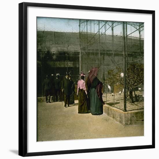 Aviaries at the Jardin D'Acclimatation, Paris (XVIth Arrondissement), Circa 1890-1895-Leon, Levy et Fils-Framed Photographic Print