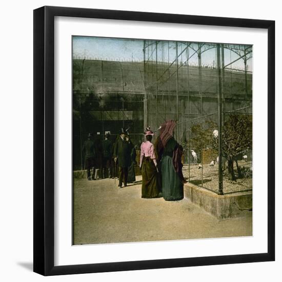 Aviaries at the Jardin D'Acclimatation, Paris (XVIth Arrondissement), Circa 1890-1895-Leon, Levy et Fils-Framed Photographic Print