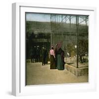 Aviaries at the Jardin D'Acclimatation, Paris (XVIth Arrondissement), Circa 1890-1895-Leon, Levy et Fils-Framed Photographic Print