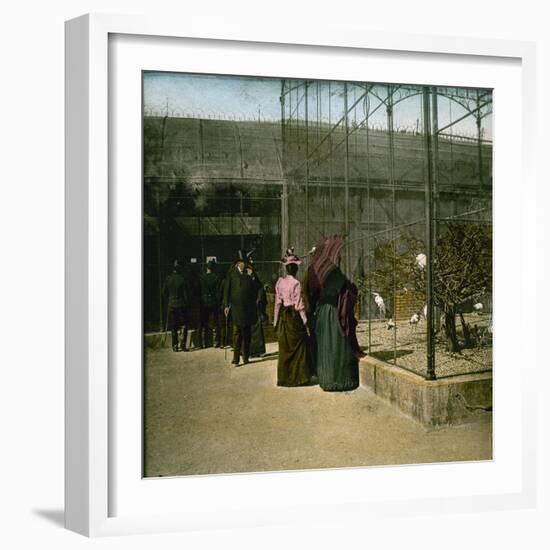 Aviaries at the Jardin D'Acclimatation, Paris (XVIth Arrondissement), Circa 1890-1895-Leon, Levy et Fils-Framed Photographic Print