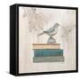 Aviary Library-Arnie Fisk-Framed Stretched Canvas