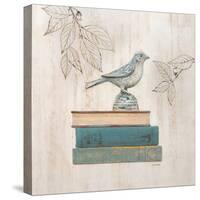 Aviary Library-Arnie Fisk-Stretched Canvas