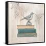 Aviary Library-Arnie Fisk-Framed Stretched Canvas