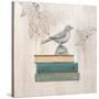 Aviary Library-Arnie Fisk-Stretched Canvas