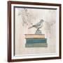 Aviary Library-Arnie Fisk-Framed Art Print