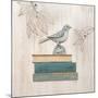 Aviary Library-Arnie Fisk-Mounted Art Print