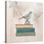 Aviary Library-Arnie Fisk-Stretched Canvas