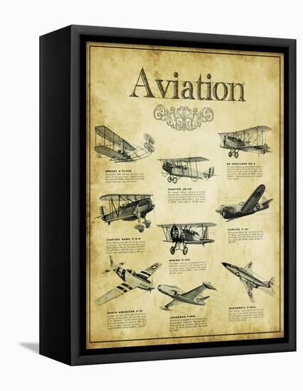 Aviation 2-null-Framed Stretched Canvas